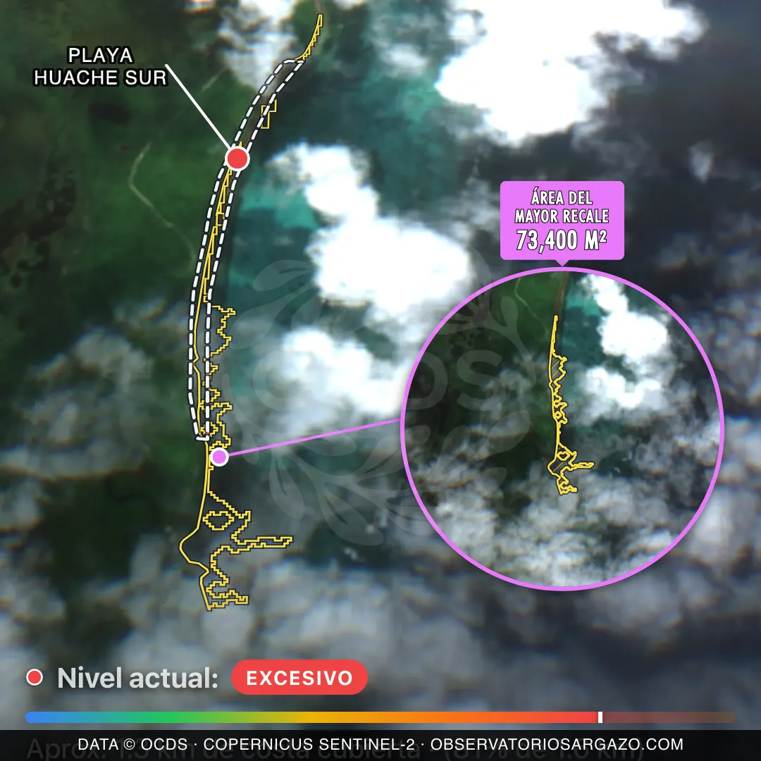 Image satellite des sargasses sur la plage Playa Huache Sur, Xcalak — sargasses excessives, 12 octobre 2026