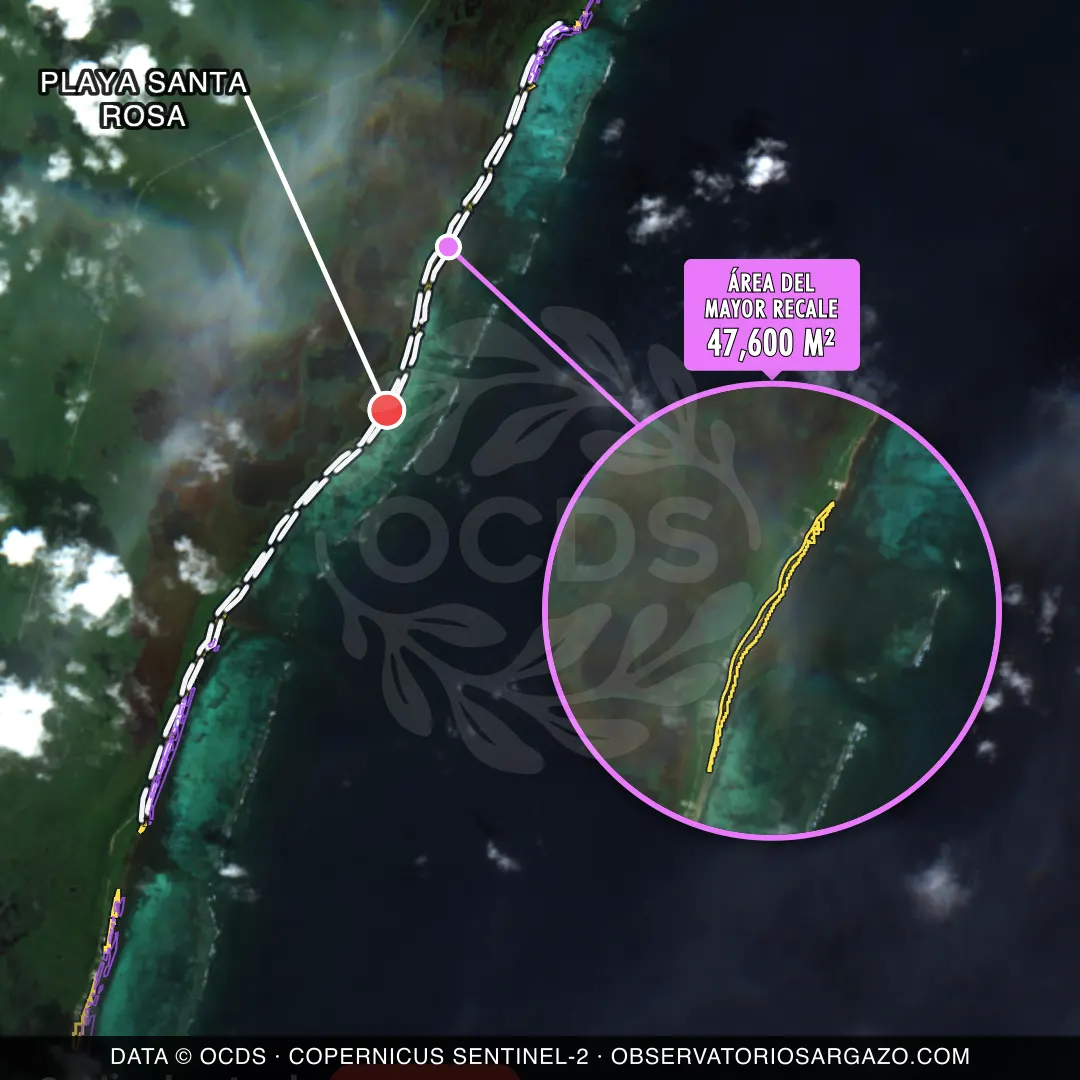Image satellite des sargasses sur la plage Playa Santa Rosa, Xcalak — sargasses excessives, 12 octobre 2026