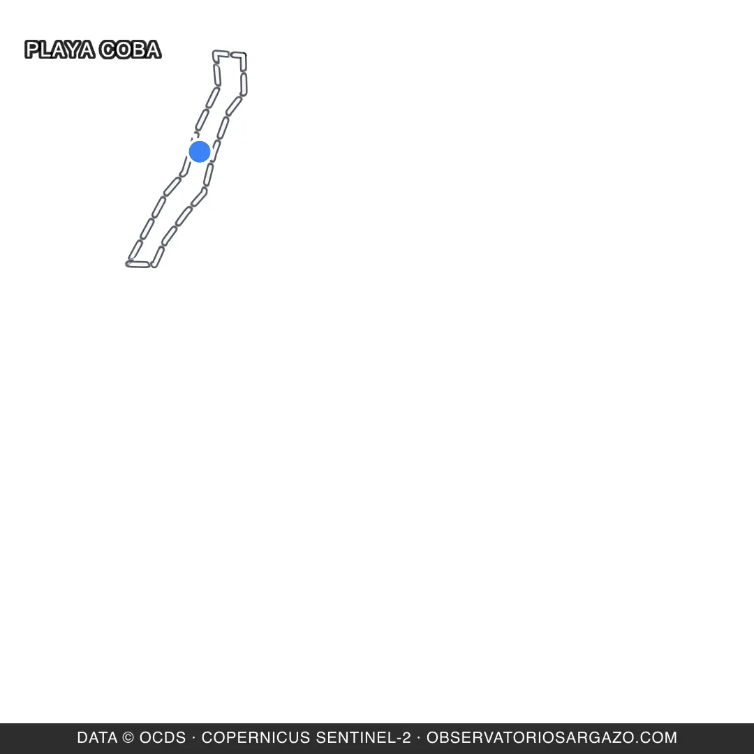 Imagem de satélite do sargaço na praia Playa Coba, Akumal — inobservável, 17 de outubro de 2026