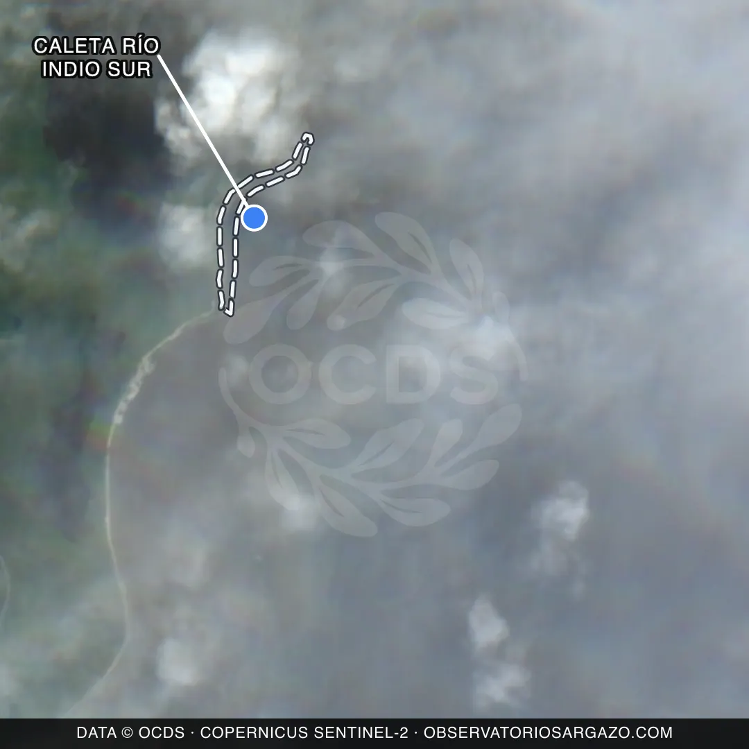 Satellite image of sargassum at Caleta Río Indio Sur beach, Costa Maya — unobservable, October 17, 2026