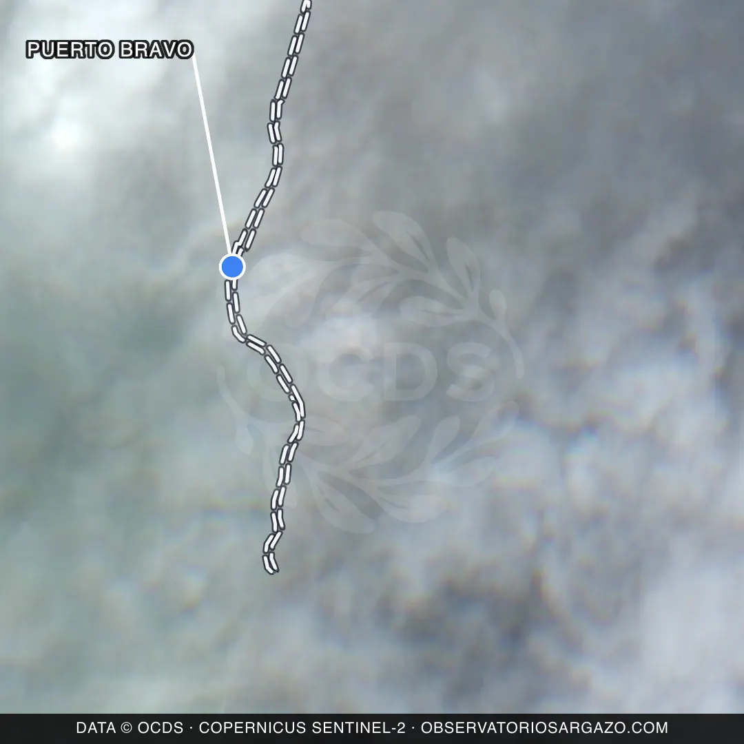 Satellite image of sargassum at Puerto Bravo beach, Costa Maya — unobservable, October 17, 2026