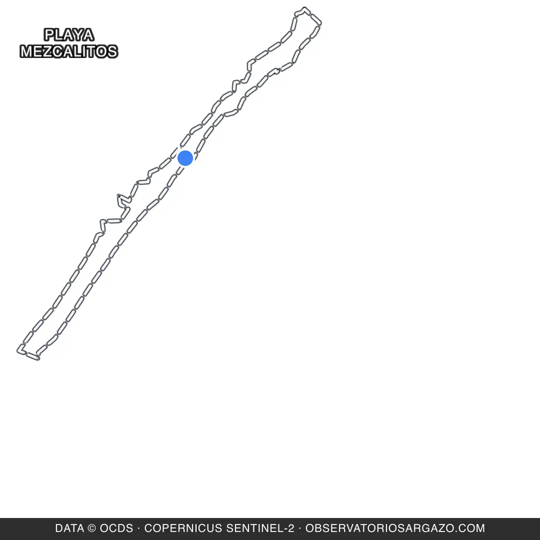 Satellite image of sargassum at Playa Mezcalitos beach, Cozumel — unobservable, October 17, 2026