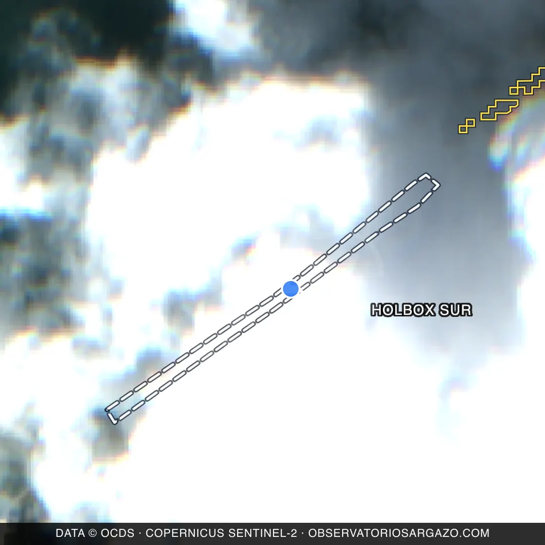 Imagem de satélite do sargaço na praia Holbox Sur, Holbox — inobservável, 17 de outubro de 2026