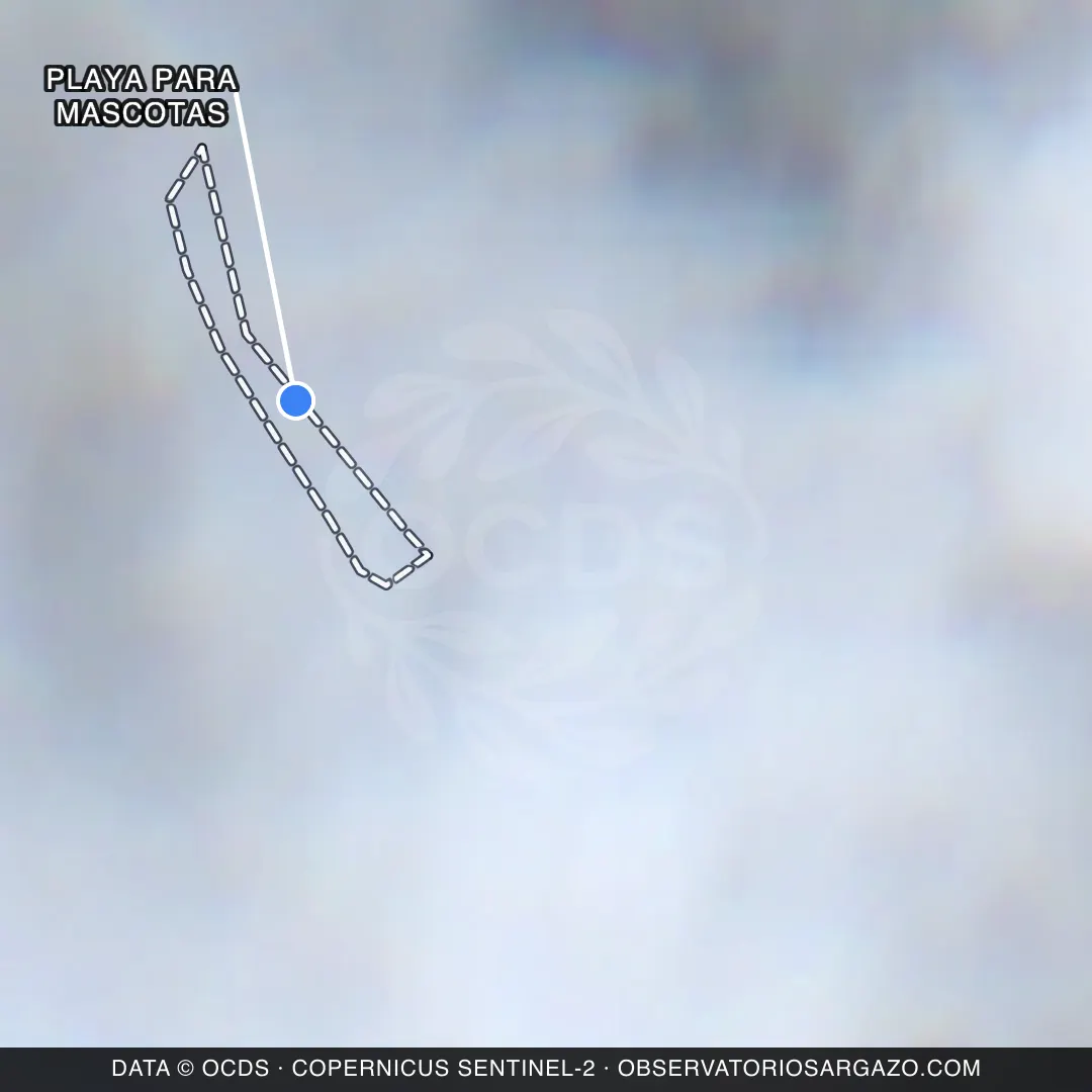 Imagem de satélite do sargaço na praia Playa para mascotas, Isla Mujeres — inobservável, 17 de outubro de 2026
