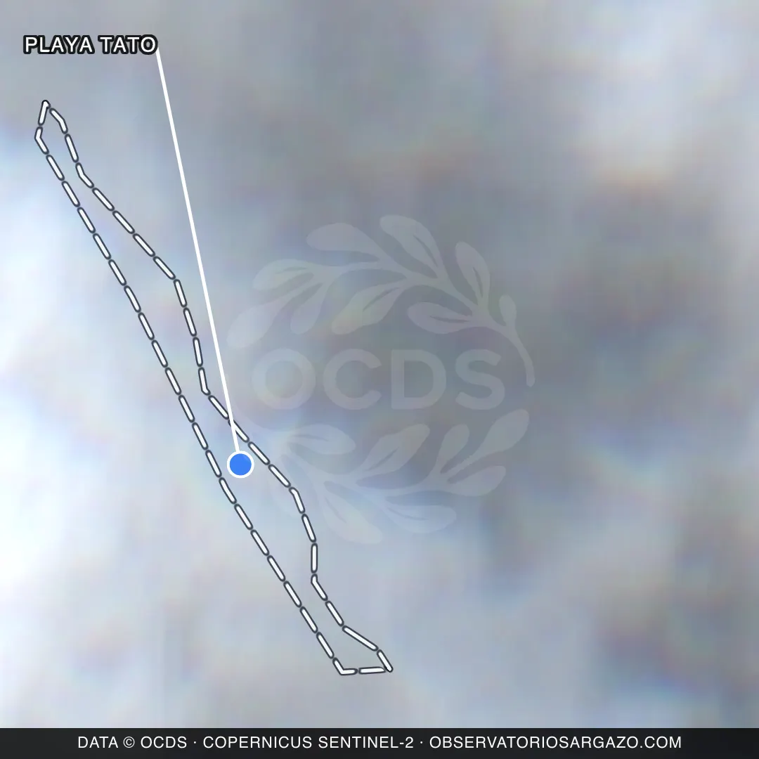 Satellite image of sargassum at Playa Tato beach, Isla Mujeres — unobservable, October 17, 2026