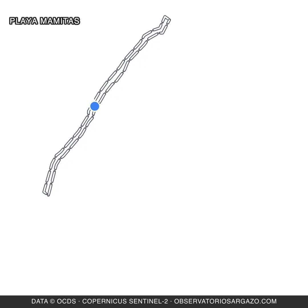 Satellite image of sargassum at Playa Mamitas beach, Playa del Carmen — unobservable, October 17, 2026