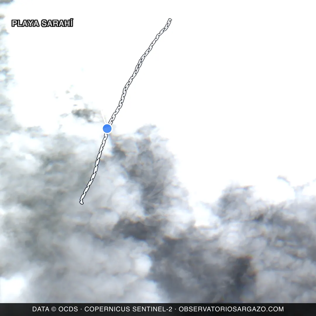 Satellite image of sargassum at Playa Sarahí beach, Xcalak — unobservable, October 17, 2026
