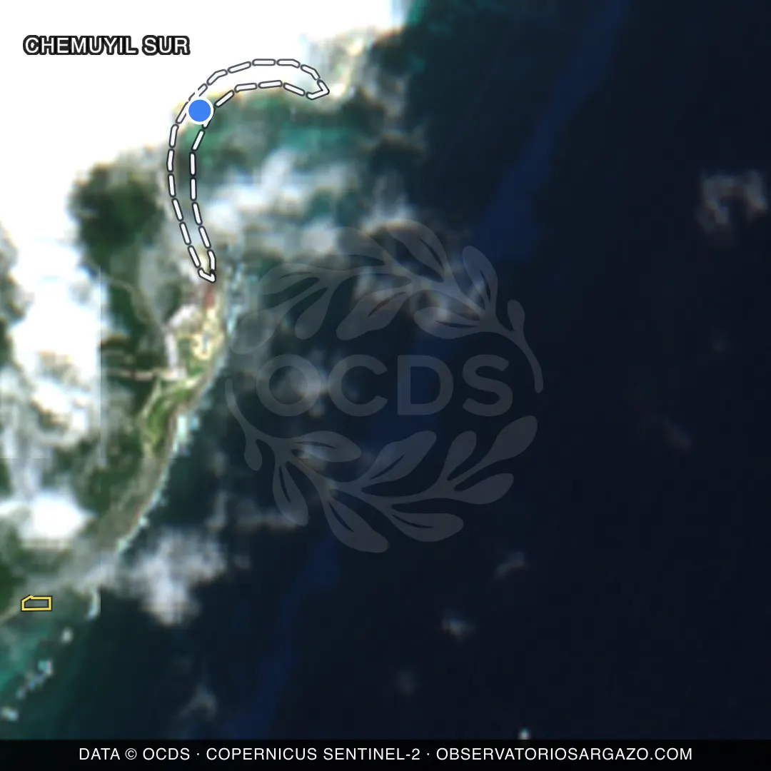Satellite image of sargassum at Chemuyil Sur beach, Akumal — unobservable, October 22, 2026