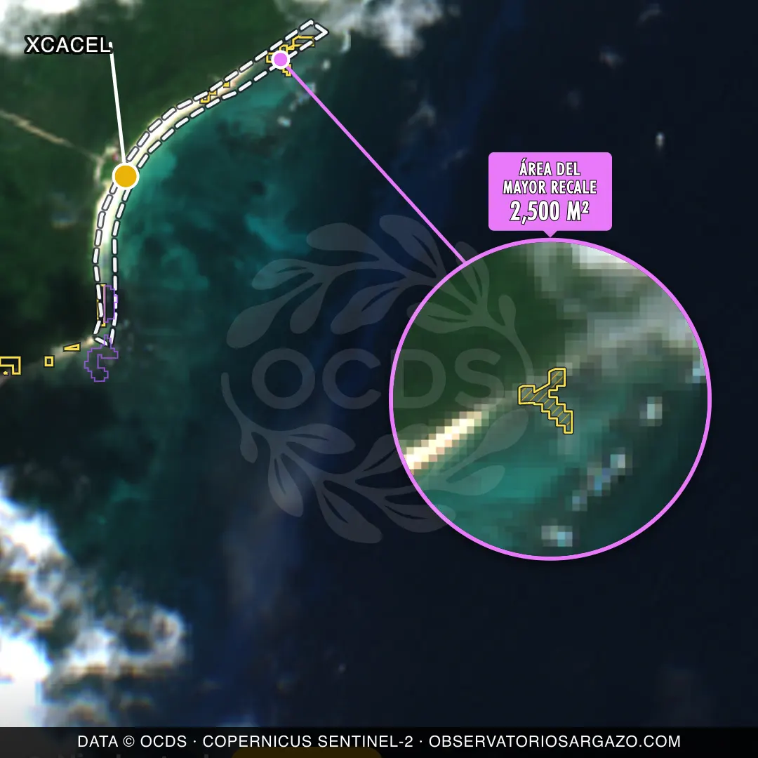 Satellite image of sargassum at Xcacel beach, Akumal — moderate sargassum, October 22, 2026