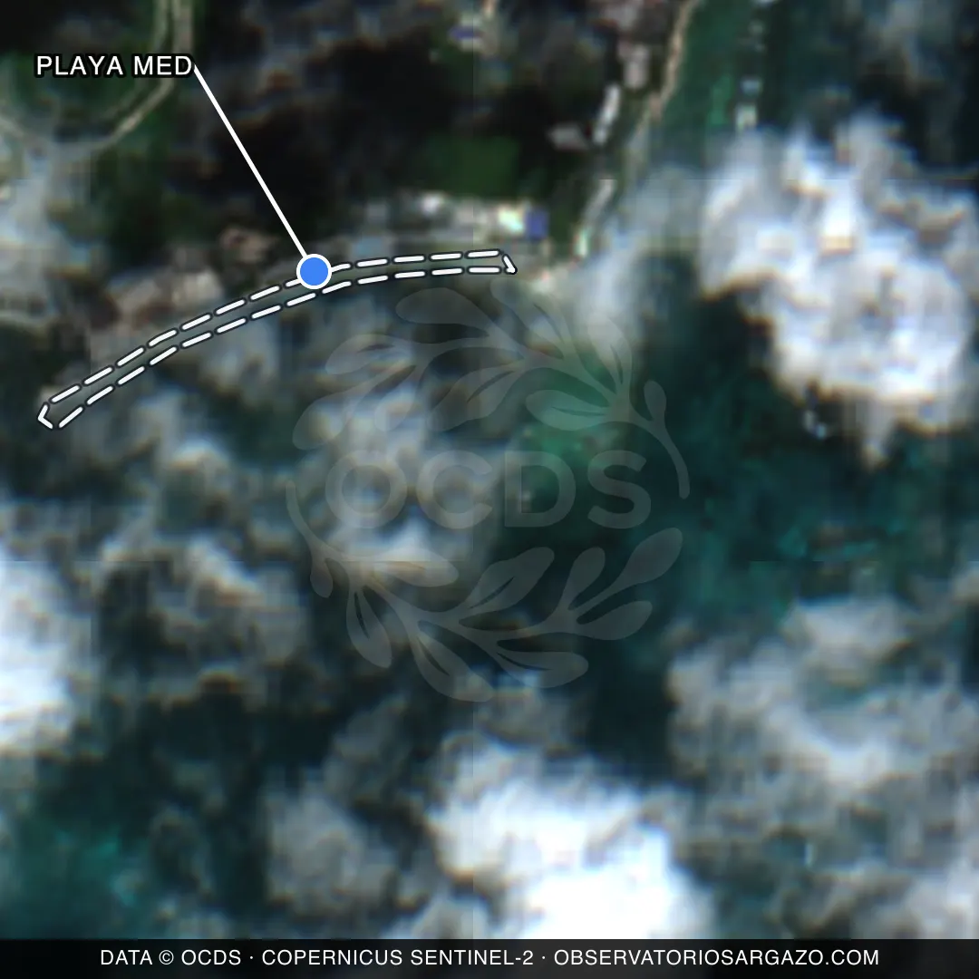 Imagem de satélite do sargaço na praia Playa Med, Cancún — sem sargaço, 22 de outubro de 2026