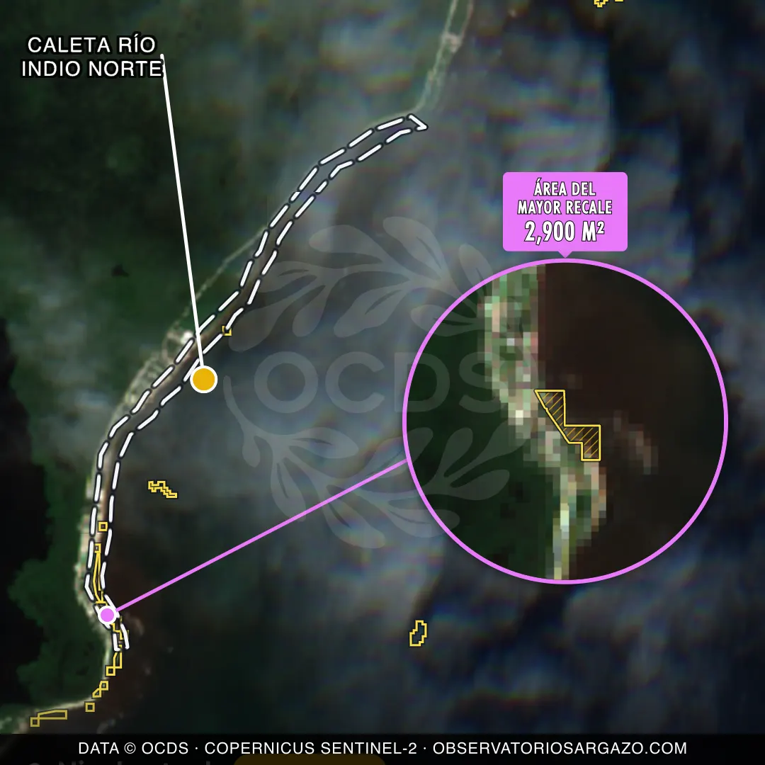 Imagem de satélite do sargaço na praia Caleta Río Indio Norte, Costa Maya — sargaço moderado, 22 de outubro de 2026
