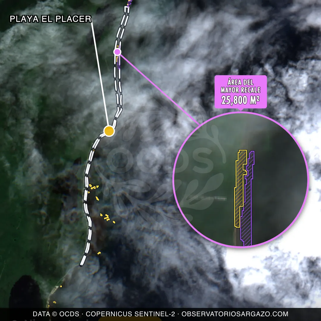 Satellite image of sargassum at Playa El Placer beach, Costa Maya — moderate sargassum, October 22, 2026