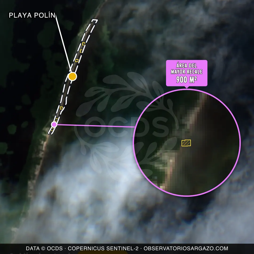 Satellite image of sargassum at Playa Polín beach, Costa Maya — moderate sargassum, October 22, 2026