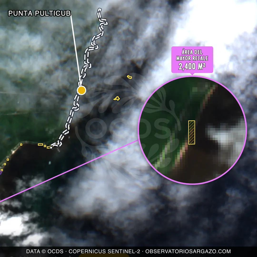 Satellite image of sargassum at Punta Pulticub beach, Costa Maya — moderate sargassum, October 22, 2026