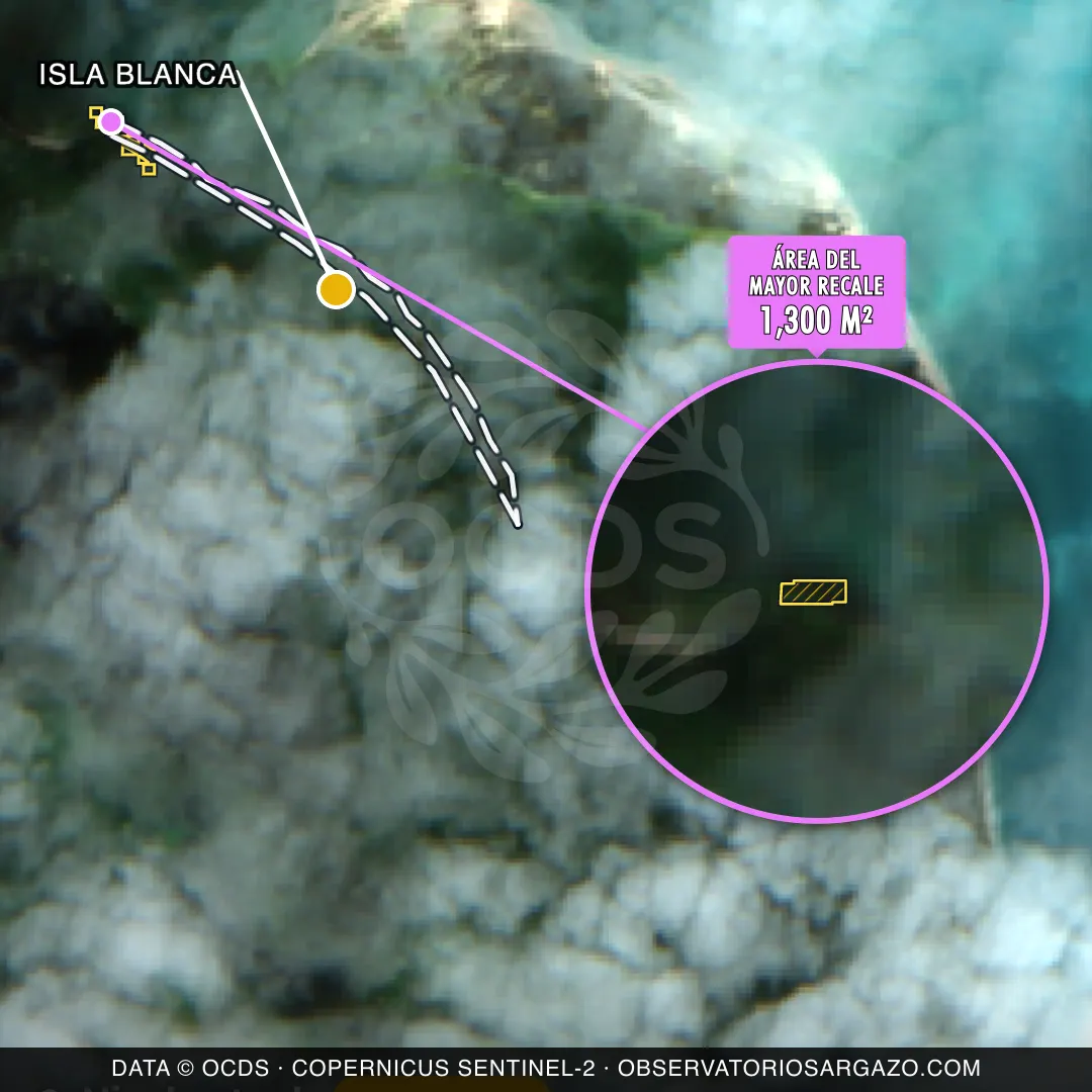 Satellite image of sargassum at Isla Blanca beach, Costa Mujeres — moderate sargassum, October 22, 2026