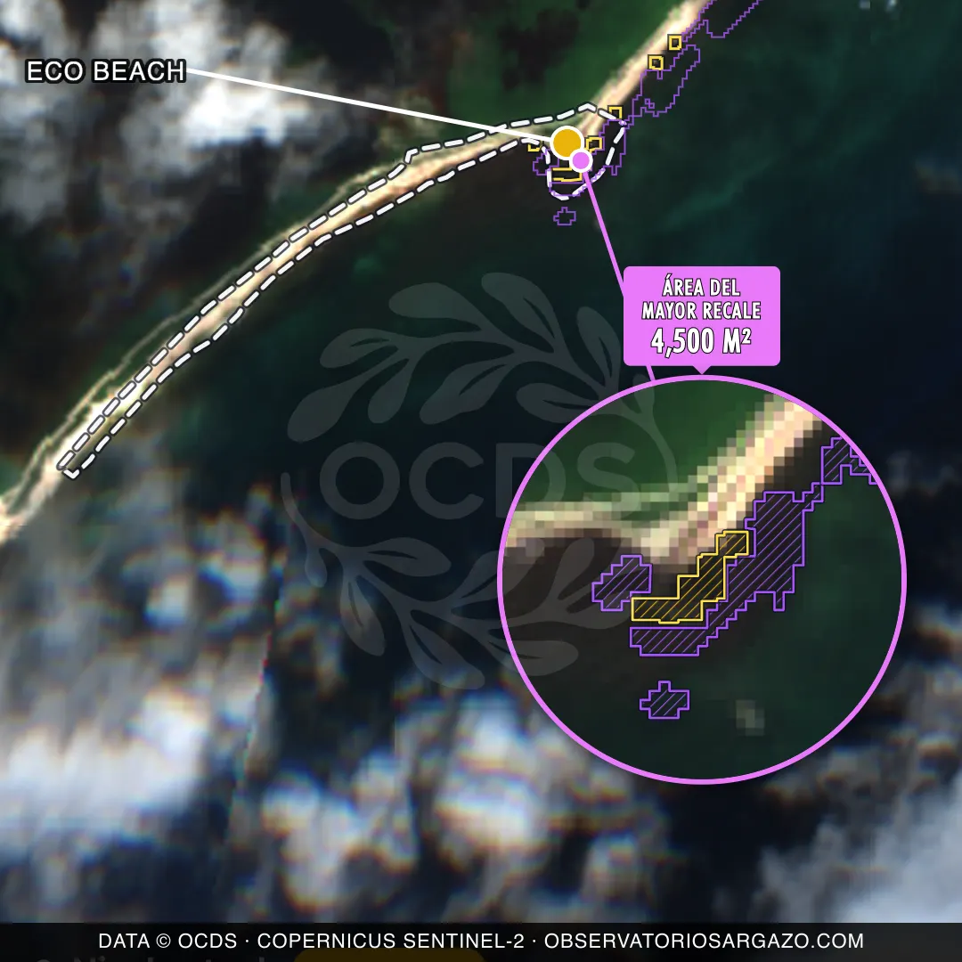 Satellite image of sargassum at Eco Beach beach, Cozumel — moderate sargassum, October 22, 2026