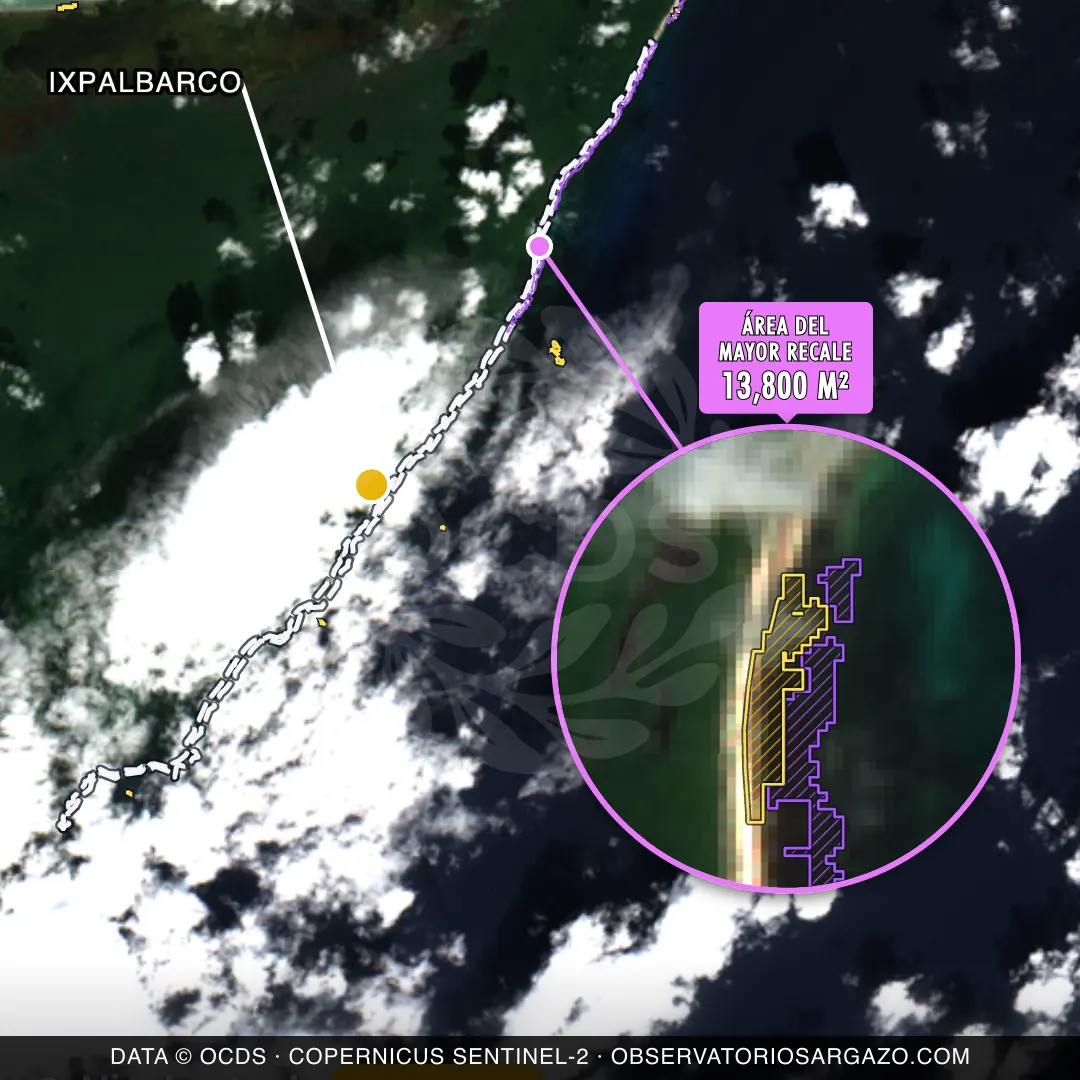 Satellite image of sargassum at Ixpalbarco beach, Cozumel — moderate sargassum, October 22, 2026