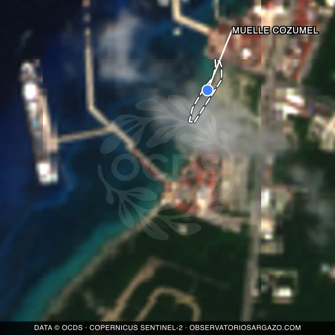 Imagem de satélite do sargaço na praia Muelle Cozumel, Cozumel — sem sargaço, 22 de outubro de 2026