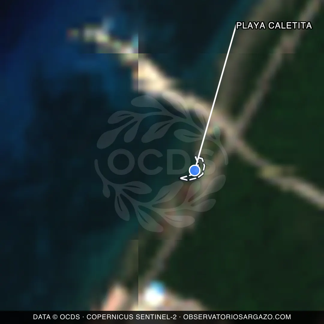 Imagem de satélite do sargaço na praia Playa Caletita, Cozumel — sem sargaço, 22 de outubro de 2026