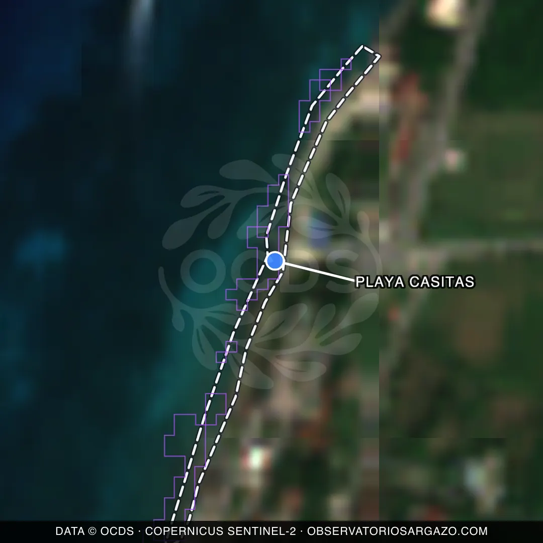 Imagem de satélite do sargaço na praia Playa Casitas, Cozumel — maré marrom, 22 de outubro de 2026