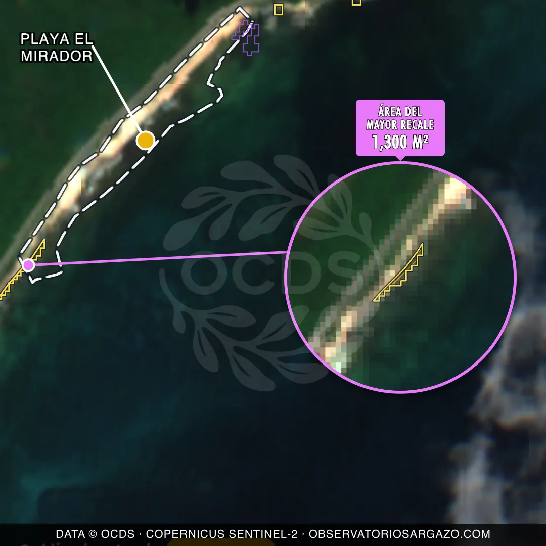 Satellite image of sargassum at Playa el Mirador beach, Cozumel — moderate sargassum, October 22, 2026