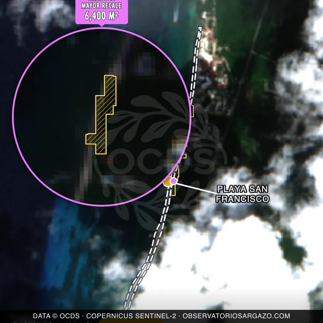 Satellite image of sargassum at Playa San Francisco beach, Cozumel — moderate sargassum, October 22, 2026