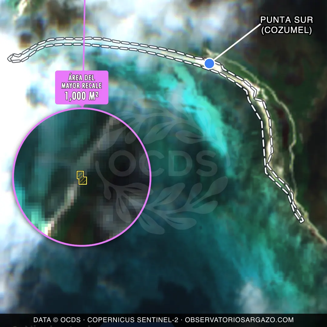 Imagem de satélite do sargaço na praia Punta Sur (Cozumel), Cozumel — sem sargaço, 22 de outubro de 2026