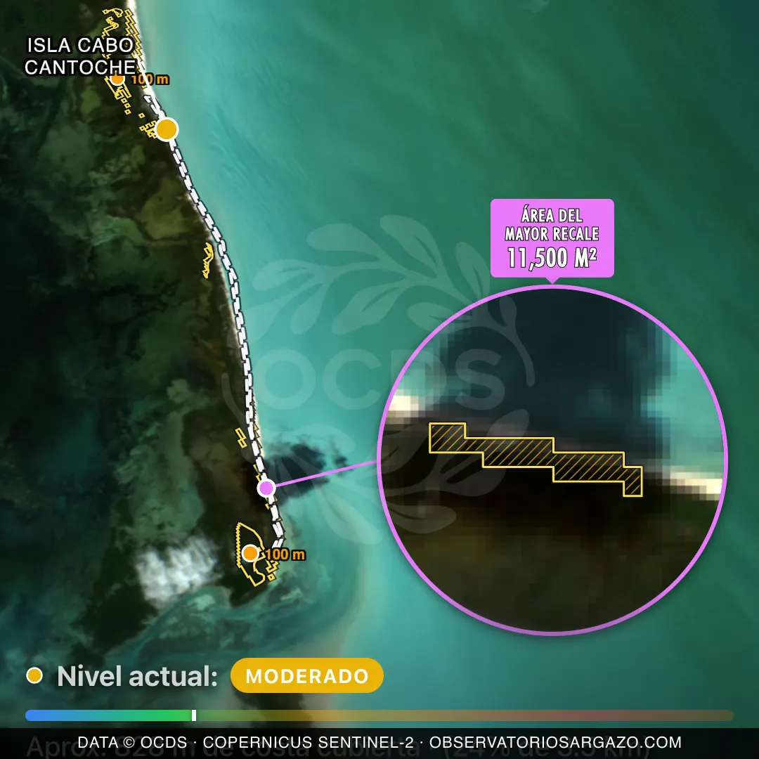 Imagem de satélite do sargaço na praia Isla Cabo Cantoche, Holbox — sargaço moderado, 22 de outubro de 2026