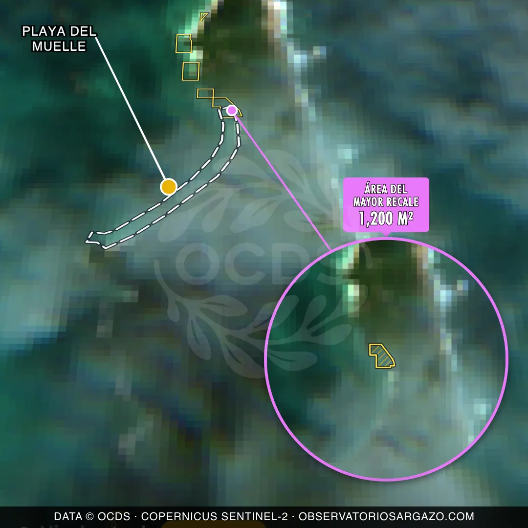 Satellite image of sargassum at Playa del Muelle beach, Isla Contoy — moderate sargassum, October 22, 2026