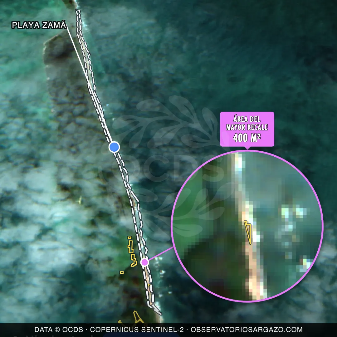 Satellite image of sargassum at Playa Zamá beach, Isla Contoy — clear, October 22, 2026