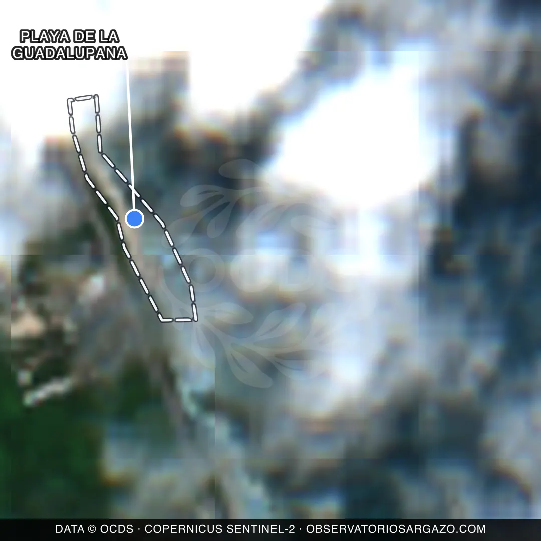 Imagem de satélite do sargaço na praia Playa de la Guadalupana, Isla Mujeres — inobservável, 22 de outubro de 2026