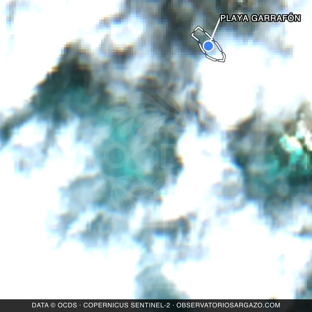 Satellite image of sargassum at Playa Garrafón beach, Isla Mujeres — unobservable, October 22, 2026