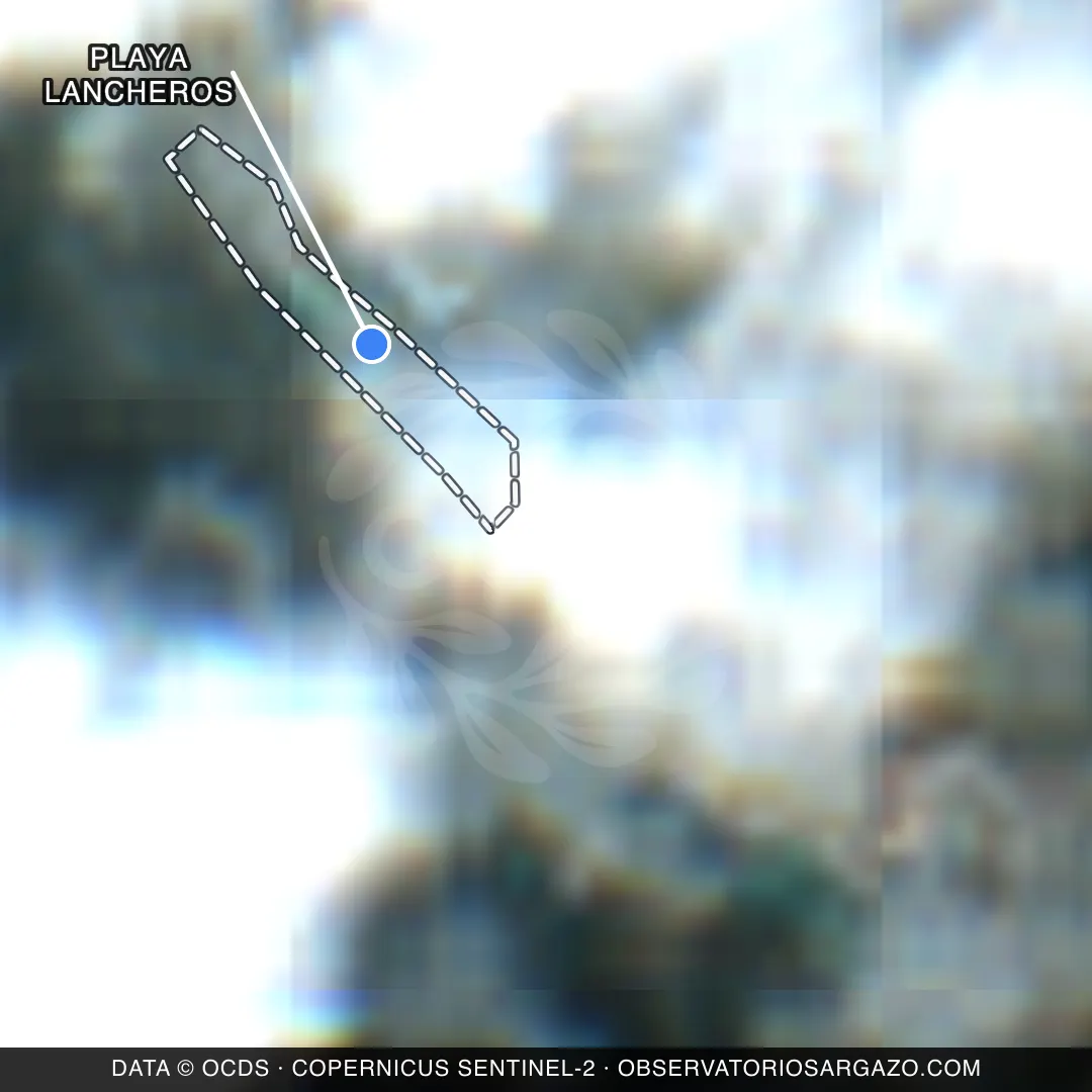Imagem de satélite do sargaço na praia Playa Lancheros, Isla Mujeres — inobservável, 22 de outubro de 2026