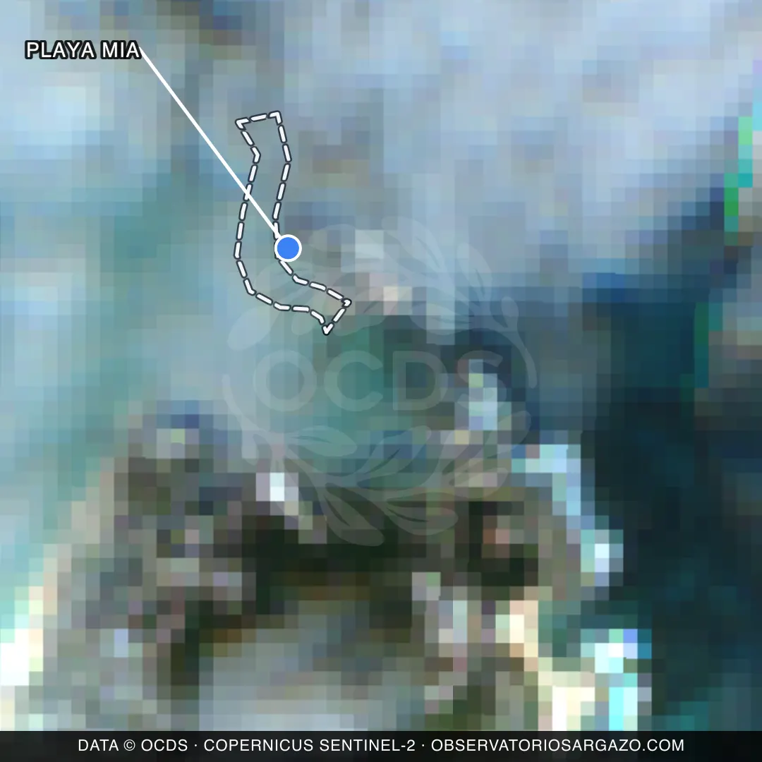 Satellite image of sargassum at Playa Mia beach, Isla Mujeres — unobservable, October 22, 2026