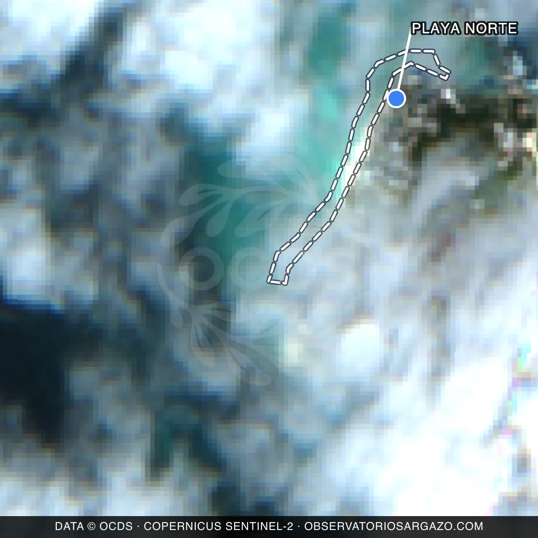 Satellite image of sargassum at Playa Norte beach, Isla Mujeres — unobservable, October 22, 2026