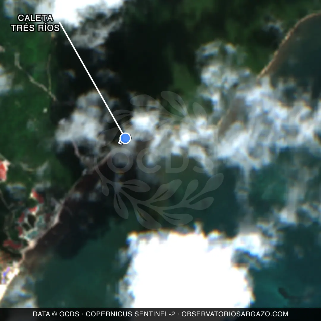 Imagem de satélite do sargaço na praia Caleta Trés Ríos, Playa del Carmen — inobservável, 22 de outubro de 2026