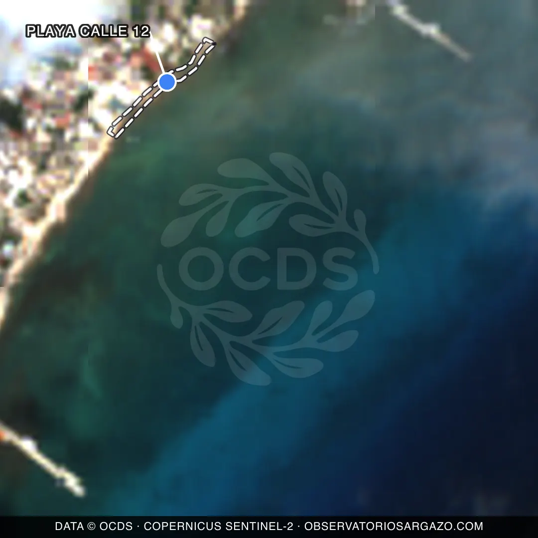 Satellite image of sargassum at Playa Calle 12 beach, Playa del Carmen — unobservable, October 22, 2026