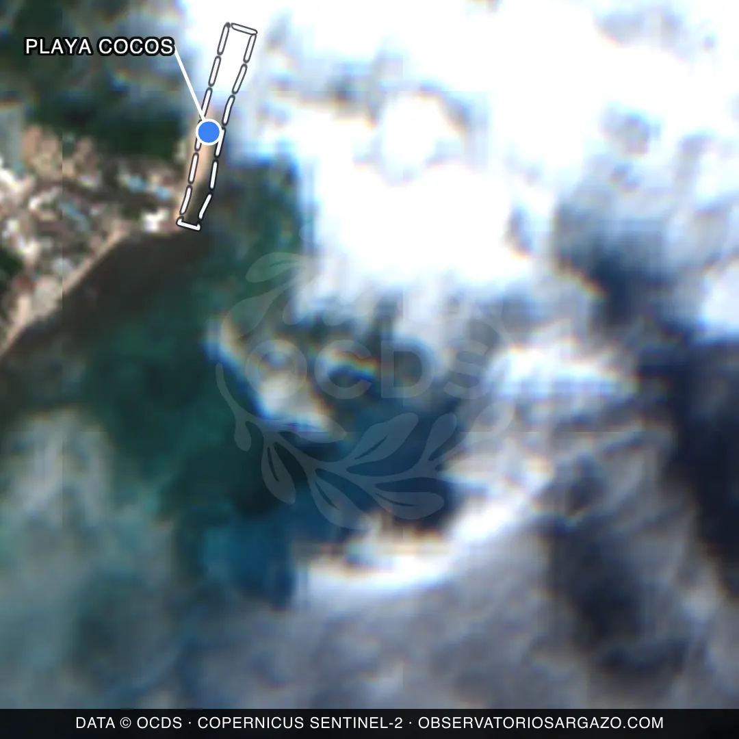 Imagem de satélite do sargaço na praia Playa Cocos, Playa del Carmen — inobservável, 22 de outubro de 2026
