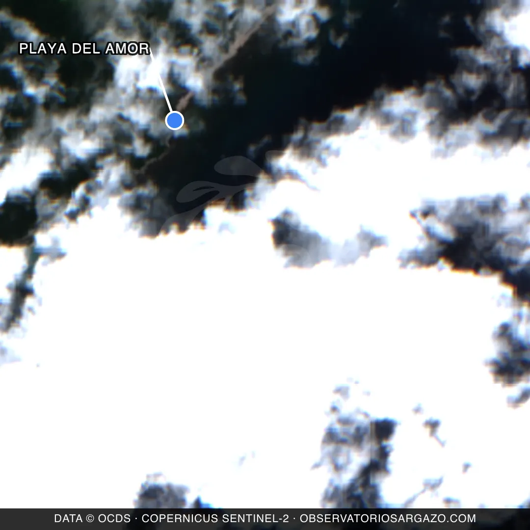 Satellite image of sargassum at Playa del Amor beach, Playa del Carmen — unobservable, October 22, 2026