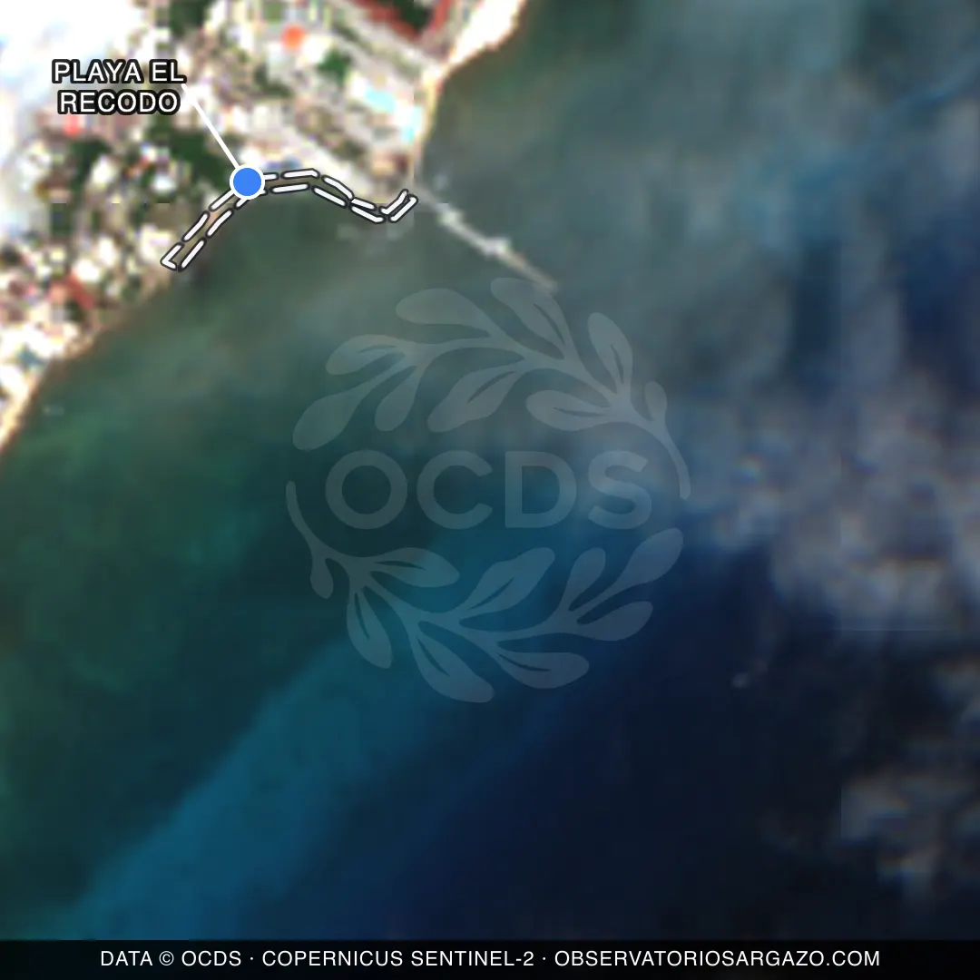 Satellite image of sargassum at Playa El Recodo beach, Playa del Carmen — unobservable, October 22, 2026