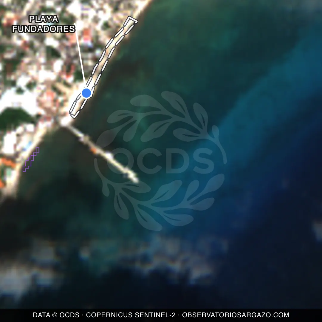 Satellite image of sargassum at Playa Fundadores beach, Playa del Carmen — clear, October 22, 2026