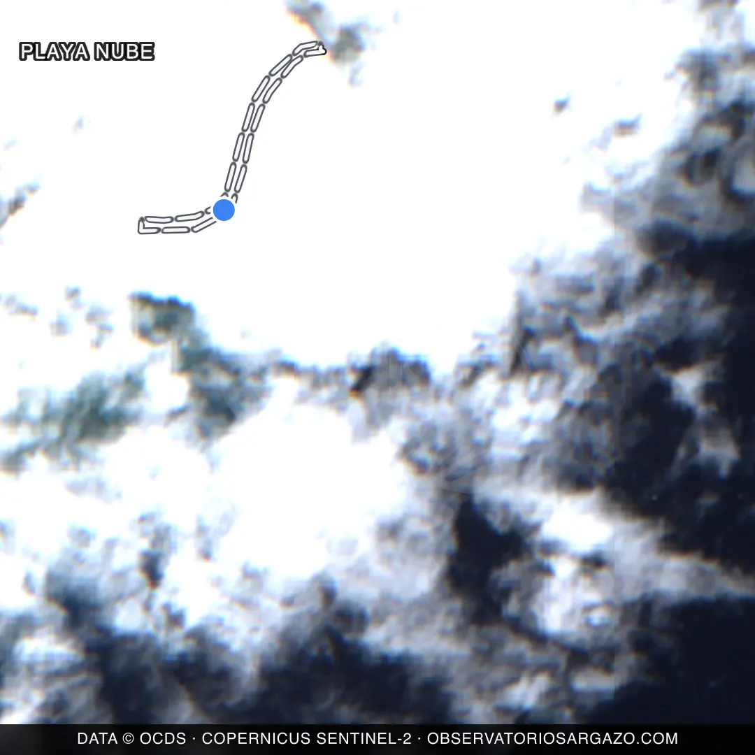 Satellite image of sargassum at Playa Nube beach, Playa del Carmen — unobservable, October 22, 2026