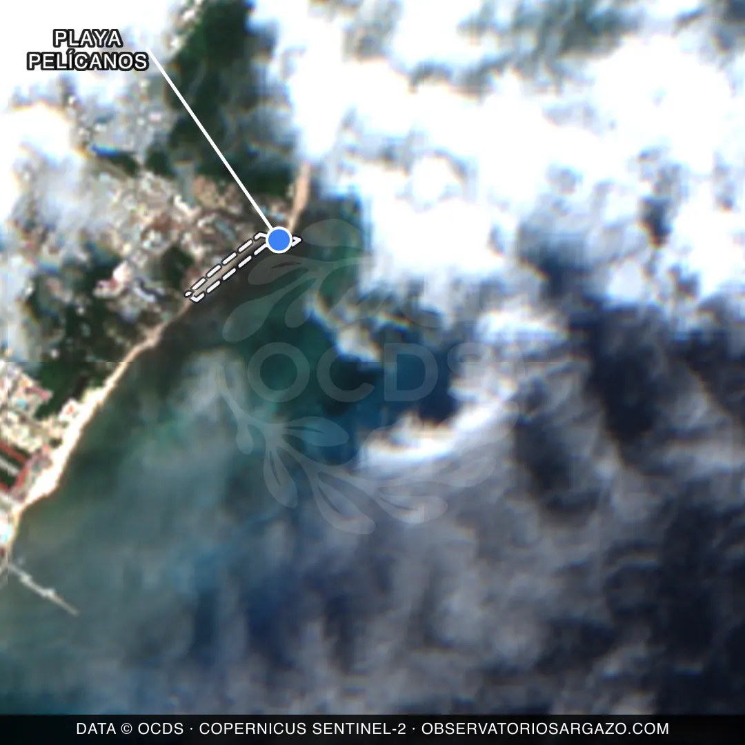 Satellite image of sargassum at Playa Pelícanos beach, Playa del Carmen — unobservable, October 22, 2026
