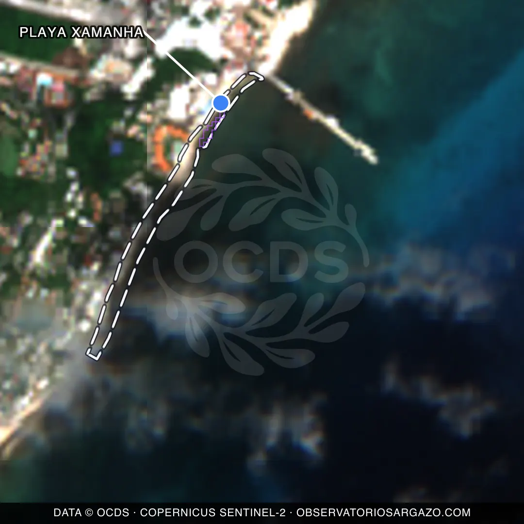 Imagem de satélite do sargaço na praia Playa Xamanha, Playa del Carmen — sem sargaço, 22 de outubro de 2026
