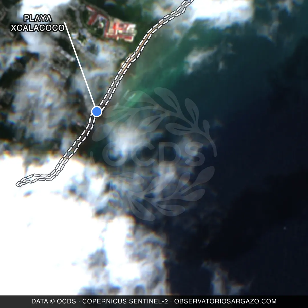Satellite image of sargassum at Playa Xcalacoco beach, Playa del Carmen — unobservable, October 22, 2026