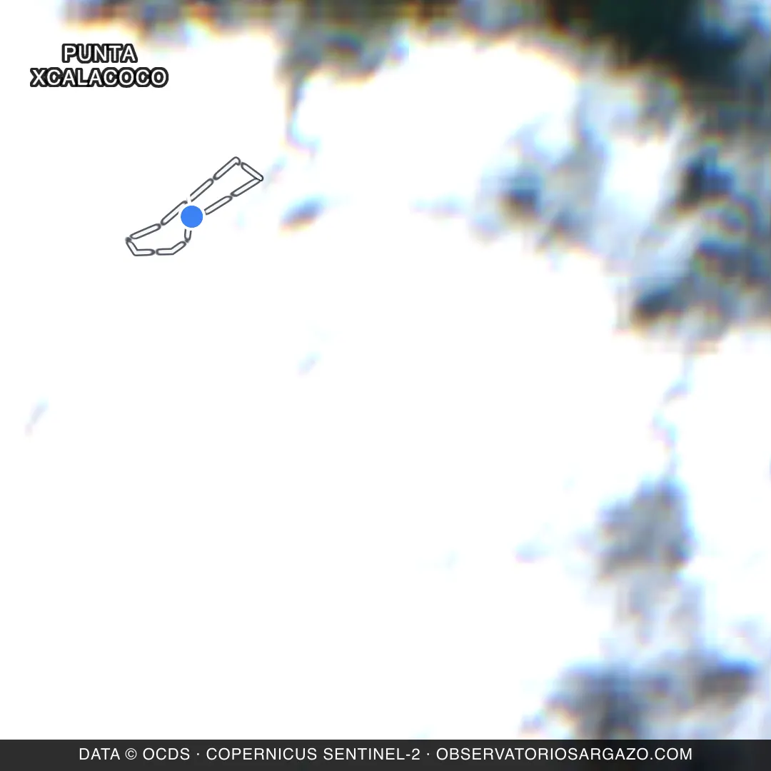 Imagem de satélite do sargaço na praia Punta Xcalacoco, Playa del Carmen — inobservável, 22 de outubro de 2026