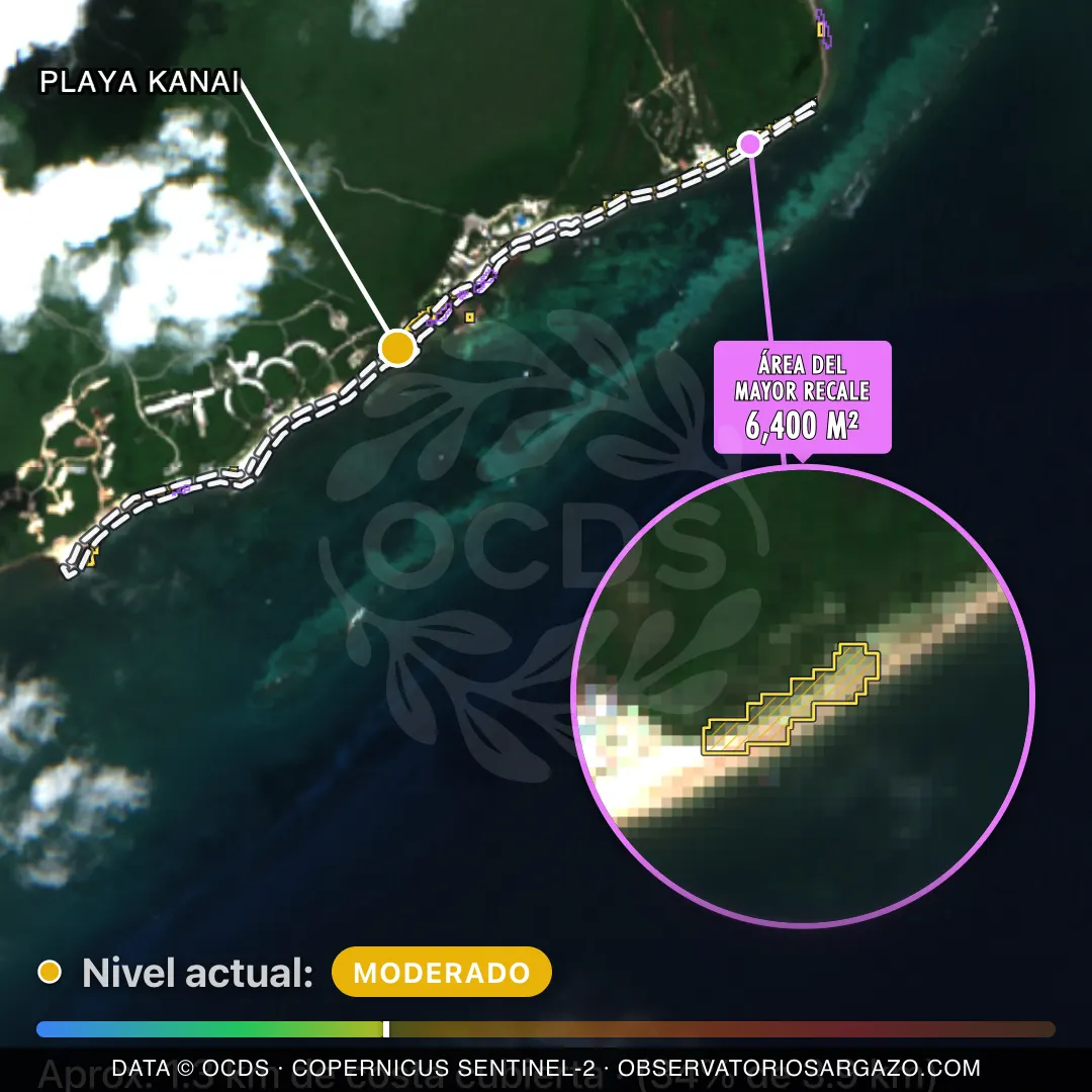 Imagem de satélite do sargaço na praia Playa Kanai, Puerto Morelos — sargaço moderado, 22 de outubro de 2026