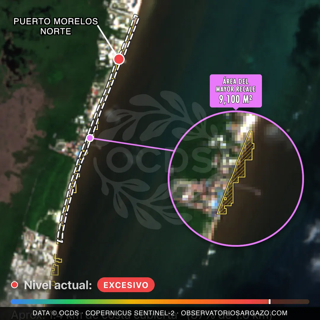 Satellite image of sargassum at Puerto Morelos Norte beach, Puerto Morelos — critical sargassum, October 22, 2026
