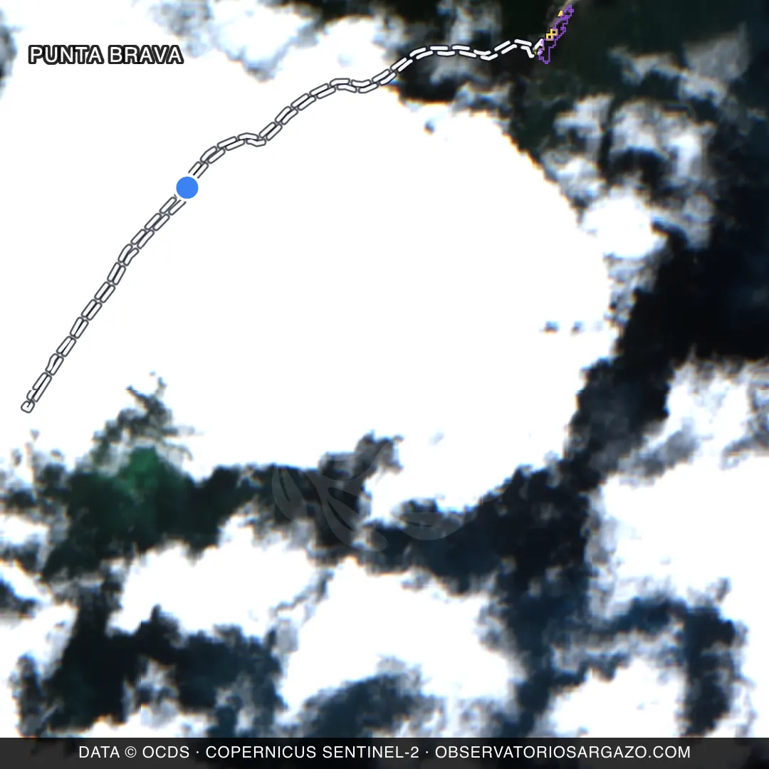 Imagem de satélite do sargaço na praia Punta Brava, Puerto Morelos — sem sargaço, 22 de outubro de 2026