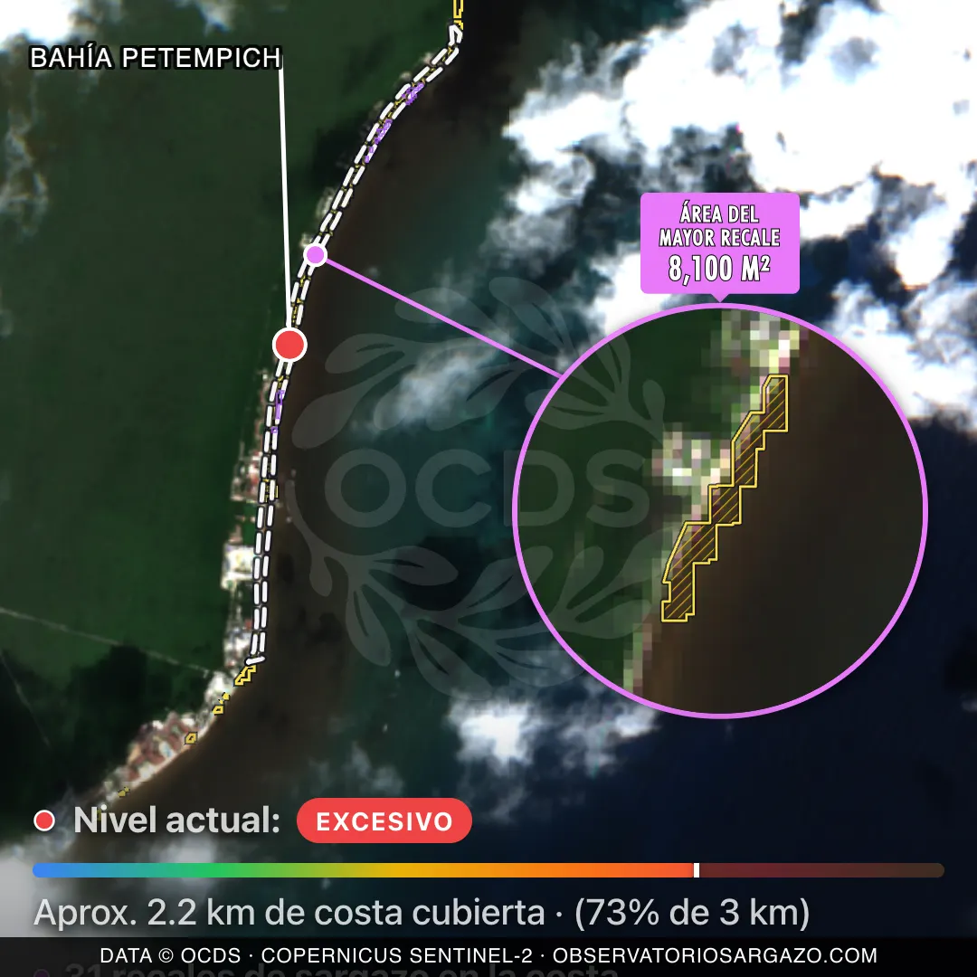 Satellite image of sargassum at Bahía Petempich beach, Riviera Cancún — critical sargassum, October 22, 2026